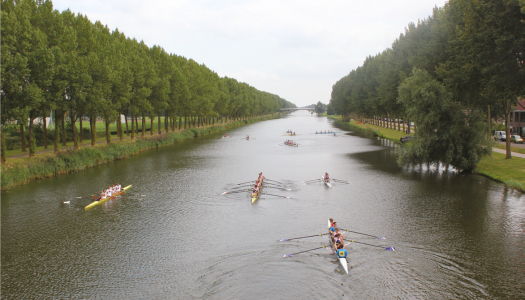 Studenten sporten en doen aan cultuur in Almere